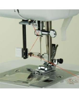 Carina Professional